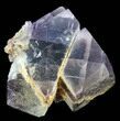 Fluorite Cube Cluster - Pakistan #38633-1